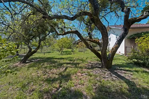 5845 Fredricks Rd, Sebastopol, CA 95472 photo 31