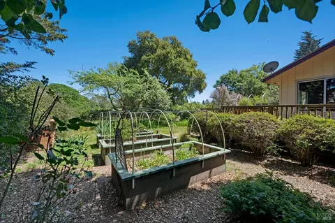 5845 Fredricks Rd, Sebastopol, CA 95472 photo 26