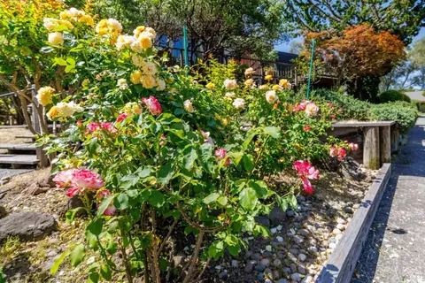 1343 Mission Dr, Sonoma, CA 95476 photo 48