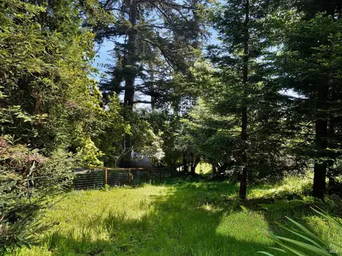 170 Bayview Dr, Mill Valley, CA 94941 photo 37