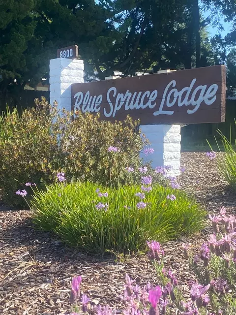 8800 Green Valley Rd #20, Sebastopol, CA 95472