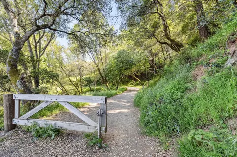 136 Summit Dr, Corte Madera, CA 94925 photo 39