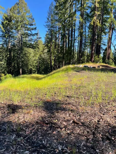 15210 Bittner Rd, Occidental, CA 95465 photo 10