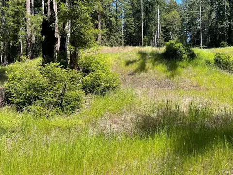 15210 Bittner Rd, Occidental, CA 95465 photo 41