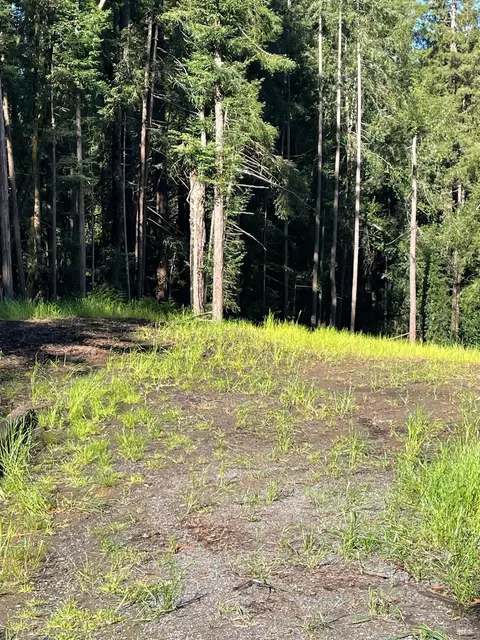 15210 Bittner Rd, Occidental, CA 95465 photo 30