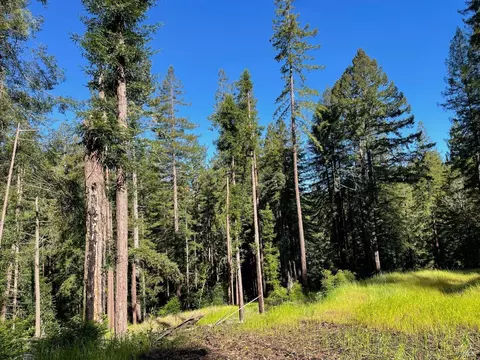15210 Bittner Rd, Occidental, CA 95465 photo 13
