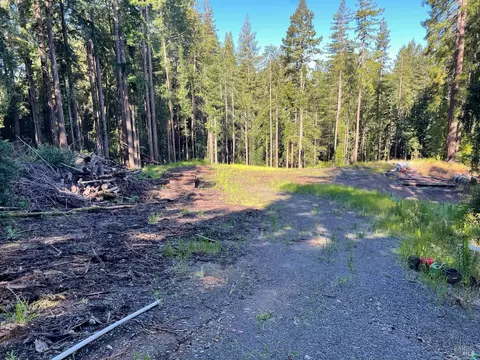 15210 Bittner Rd, Occidental, CA 95465 photo 4