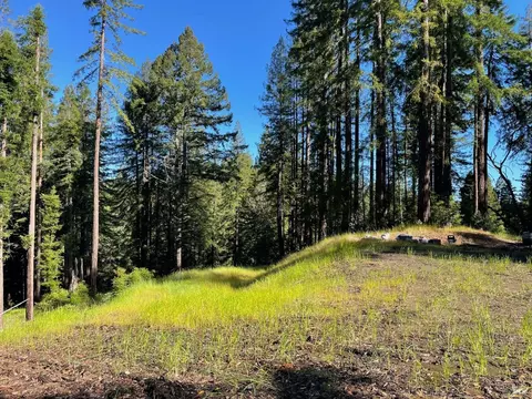 15210 Bittner Rd, Occidental, CA 95465 photo 14