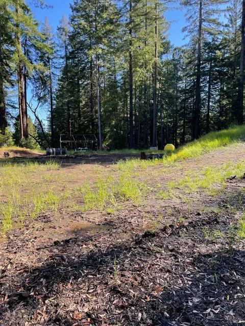 15210 Bittner Rd, Occidental, CA 95465 photo 12