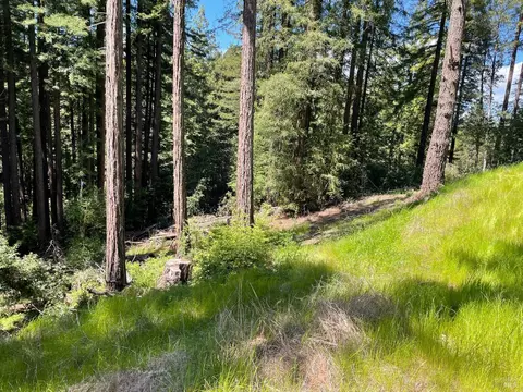 15210 Bittner Rd, Occidental, CA 95465 photo 36