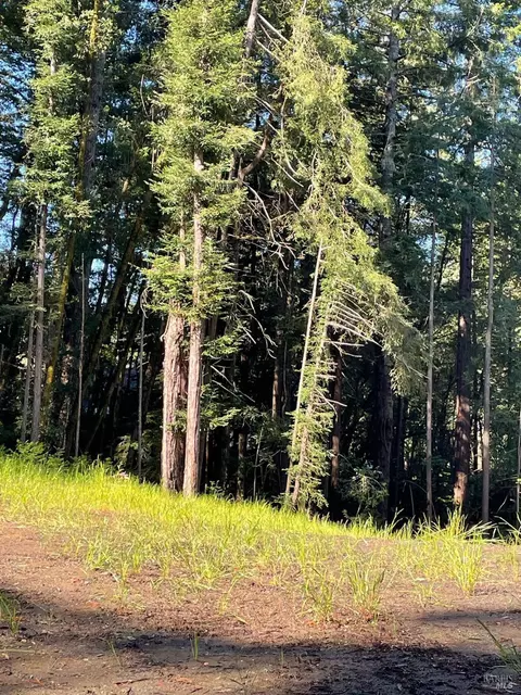 15210 Bittner Rd, Occidental, CA 95465 photo 25