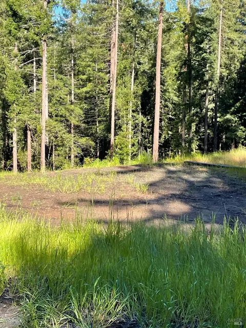 15210 Bittner Rd, Occidental, CA 95465 photo 31