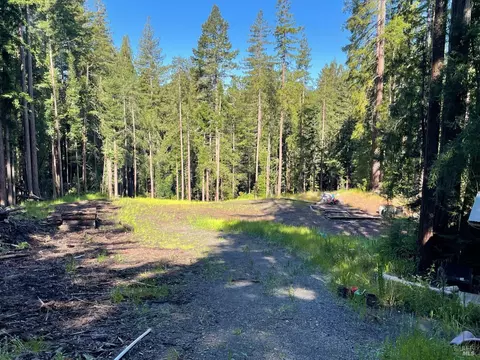 15210 Bittner Rd, Occidental, CA 95465 photo 32