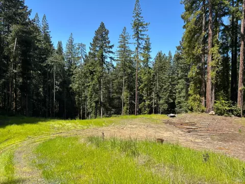 15210 Bittner Rd, Occidental, CA 95465 photo 65