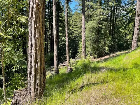 15210 Bittner Rd, Occidental, CA 95465 photo 43