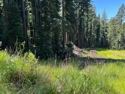 15210 Bittner Rd, Occidental, CA 95465 photo 69