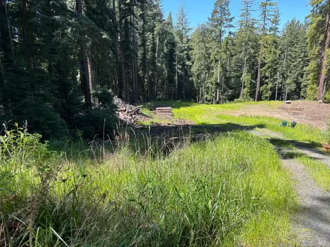 15210 Bittner Rd, Occidental, CA 95465 photo 50