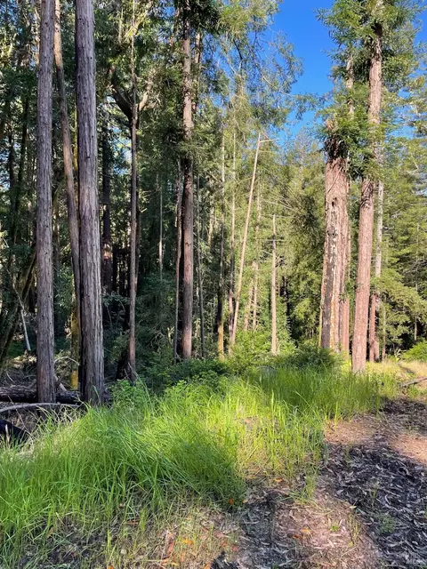 15210 Bittner Rd, Occidental, CA 95465 photo 8