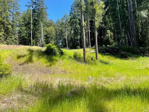 15210 Bittner Rd, Occidental, CA 95465 photo 40