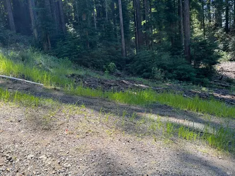 15210 Bittner Rd, Occidental, CA 95465 photo 54