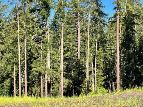 15210 Bittner Rd, Occidental, CA 95465 photo 27