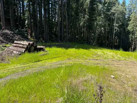 15210 Bittner Rd, Occidental, CA 95465 photo 62