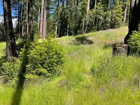 15210 Bittner Rd, Occidental, CA 95465 photo 37