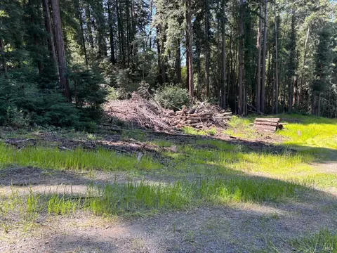 15210 Bittner Rd, Occidental, CA 95465 photo 55