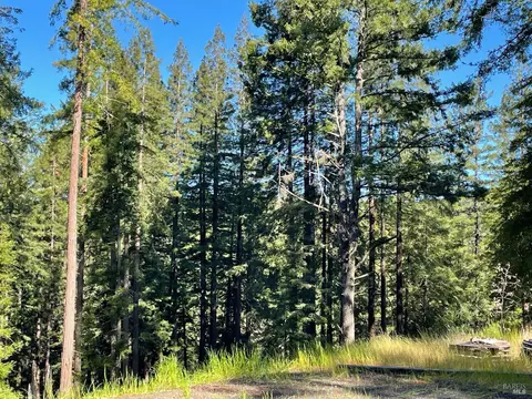 15210 Bittner Rd, Occidental, CA 95465 photo 28