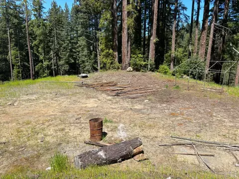 15210 Bittner Rd, Occidental, CA 95465 photo 60