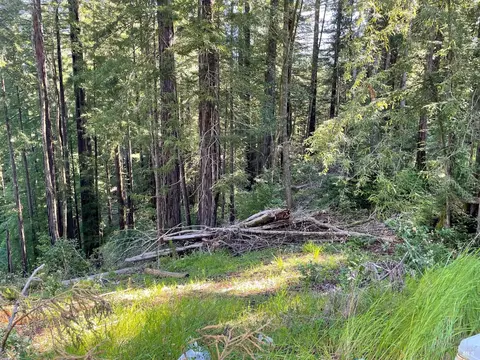 15210 Bittner Rd, Occidental, CA 95465 photo 20