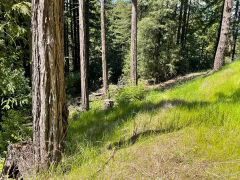 15210 Bittner Rd, Occidental, CA 95465 photo 42