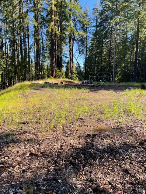 15210 Bittner Rd, Occidental, CA 95465 photo 11
