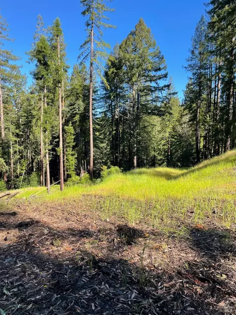 15210 Bittner Rd, Occidental, CA 95465 photo 9