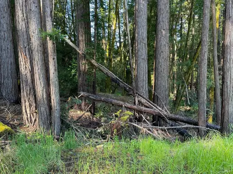 15210 Bittner Rd, Occidental, CA 95465 photo 7