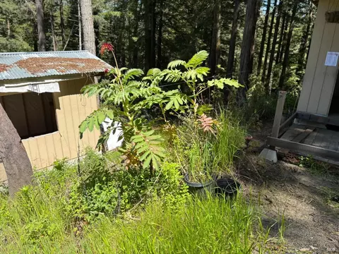 15210 Bittner Rd, Occidental, CA 95465 photo 52