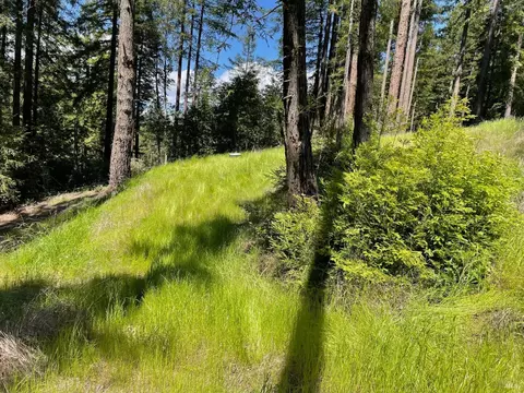 15210 Bittner Rd, Occidental, CA 95465 photo 35