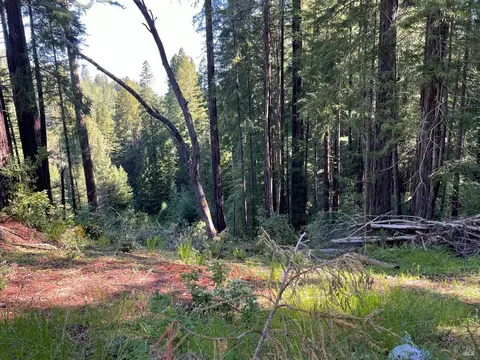 15210 Bittner Rd, Occidental, CA 95465 photo 19
