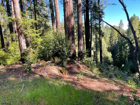15210 Bittner Rd, Occidental, CA 95465 photo 18