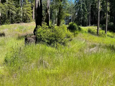 15210 Bittner Rd, Occidental, CA 95465 photo 38