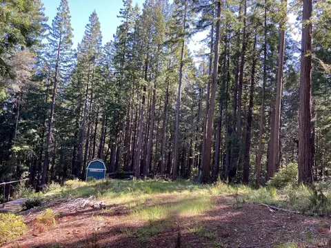 22206 Umland Cir, Jenner, CA 95450