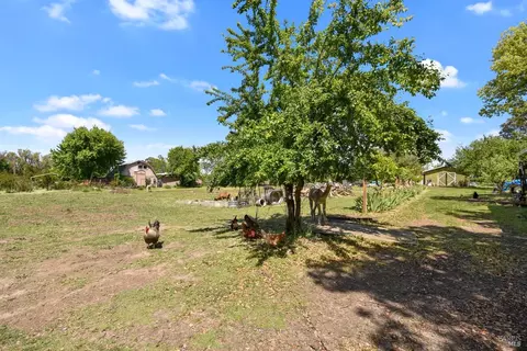 6708 Willow Rd, Vacaville, CA 95687 photo 53