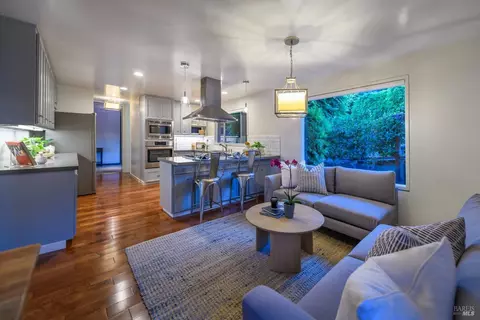 315 E Strawberry Dr, Mill Valley, CA 94941 photo 53