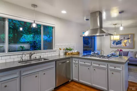 315 E Strawberry Dr, Mill Valley, CA 94941 photo 55
