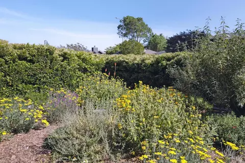 775 Istvan Rd, Sonoma, CA 95476 photo 14