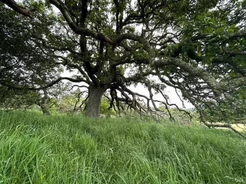 1015 Freestone Ranch Rd, Sebastopol, CA 95472 photo 10