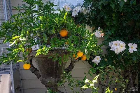 460 Denmark St, Sonoma, CA 95476 photo 43