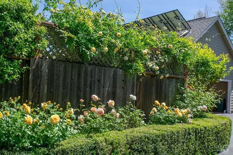 460 Denmark St, Sonoma, CA 95476 photo 52