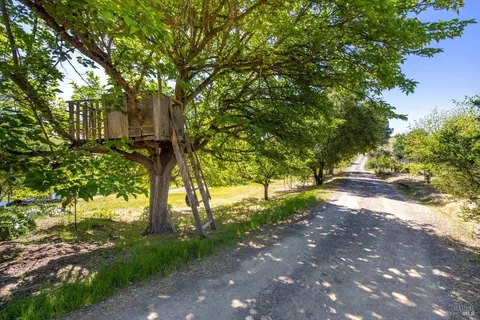 Exterior - 4046 Central Ln, Winters, CA 95694 photo 16 of 22