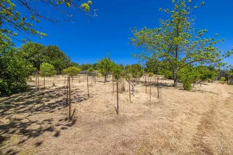 Exterior - 4046 Central Ln, Winters, CA 95694 photo 18 of 22